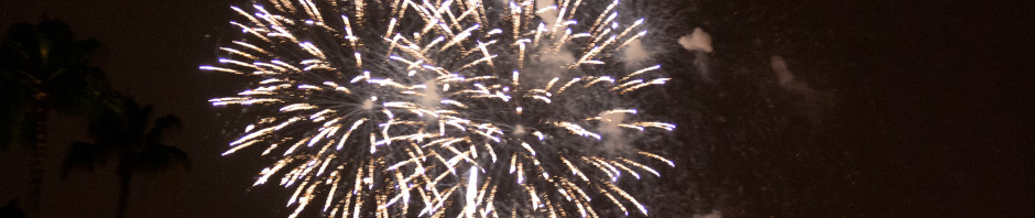 Disney Fireworks